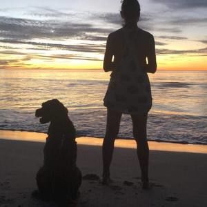 Meet your Posher, Palma